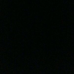 Meet your Posher, Ava